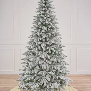 Ель альпийская 240см